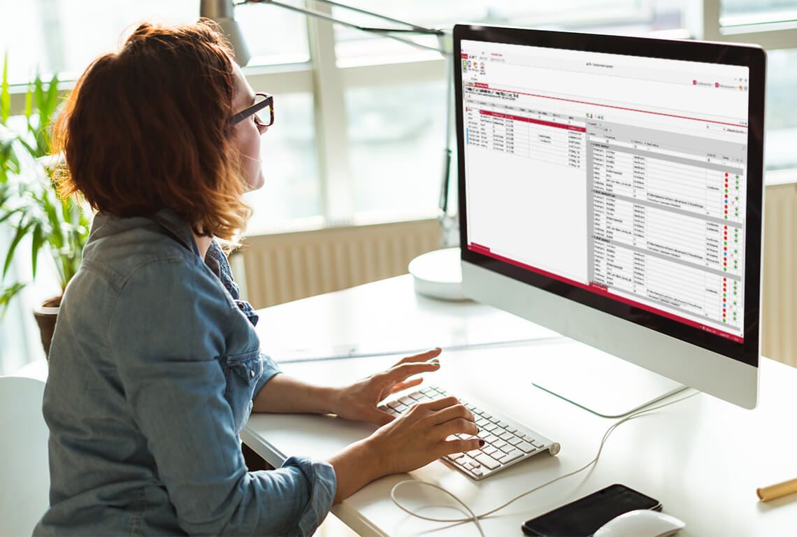 Eine Frau definiert am Computer Kompetenzstufen