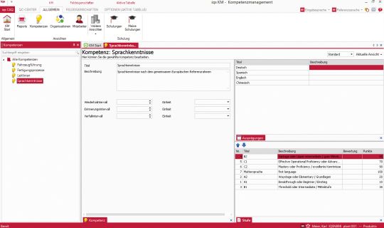 Softwarescreen Soll-, Ist-Vergleich der Kompetenzanforderungen