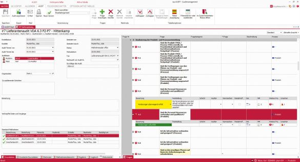 Softwarescreen Fragenkatalog für Lieferantenaudit
